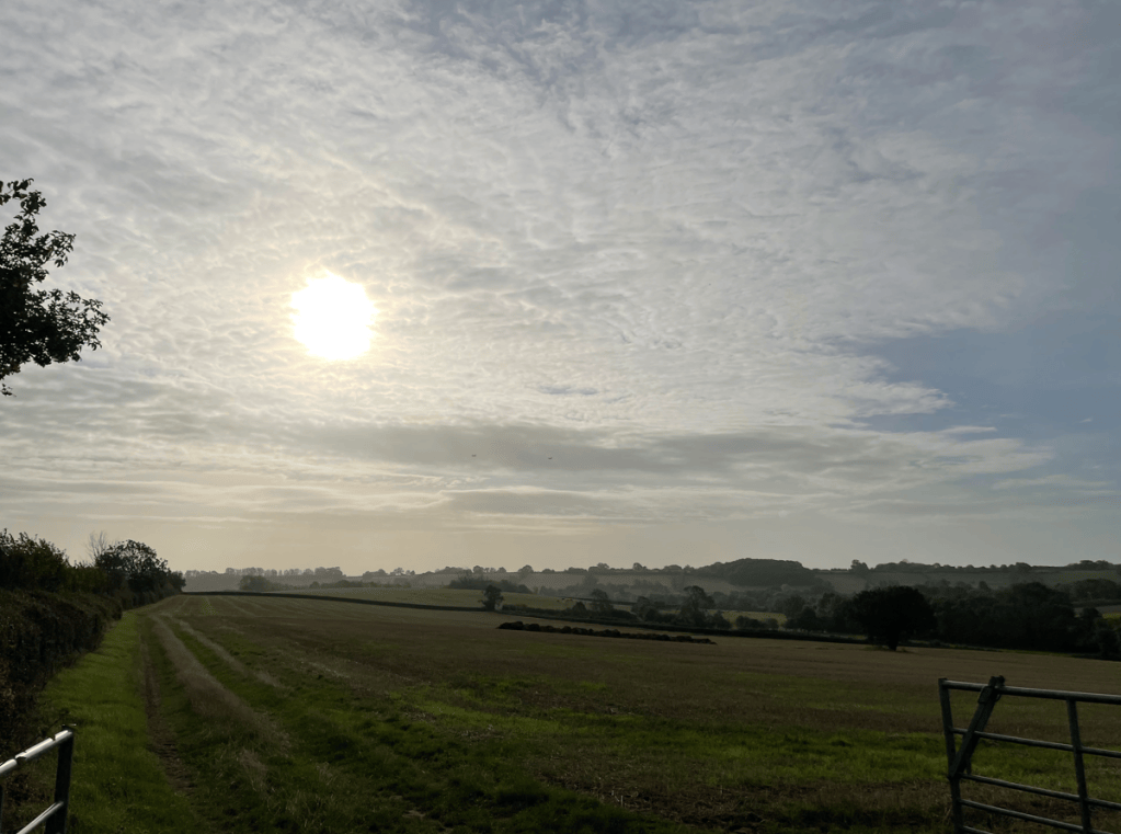 A serene landscape featuring a field under a cloudy sky, with the sun partially obscured by clouds. A pathway lined with hedges leads into the distance, and hills can be seen on the horizon, showcasing the beauty of the countryside.