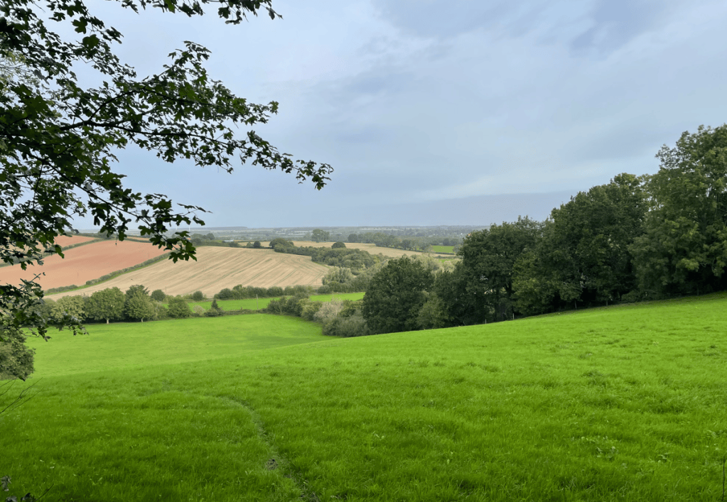 A scenic view of rolling green fields and trees under a cloudy sky, with patches of cultivated land in the background.