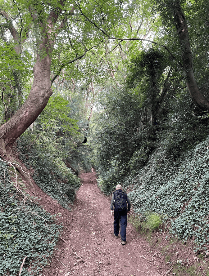 A person walking along a narrow dirt path in a lush green forest, surrounded by tall trees and dense foliage.