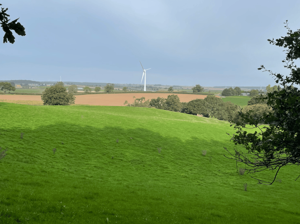 A picturesque landscape featuring lush green fields, distant trees, and a wind turbine in the background against a cloudy sky.