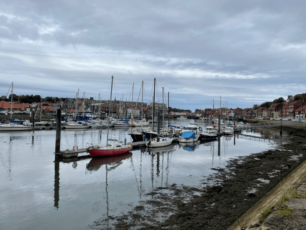 A scenic view of a harbour with several boats docked, reflecting in the calm water, under a cloudy sky. The waterfront features buildings with red roofs and lush greenery in the background.