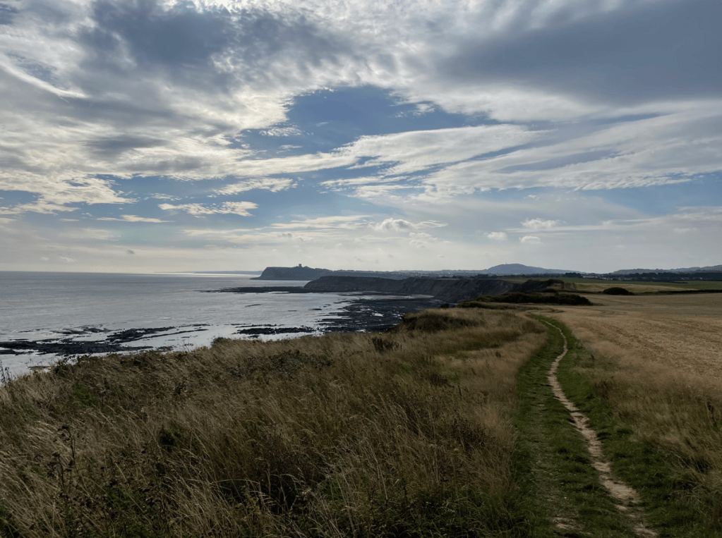 Scenic coastal view featuring a pathway alongside the sea, with rocky formations and fields under a cloudy sky.