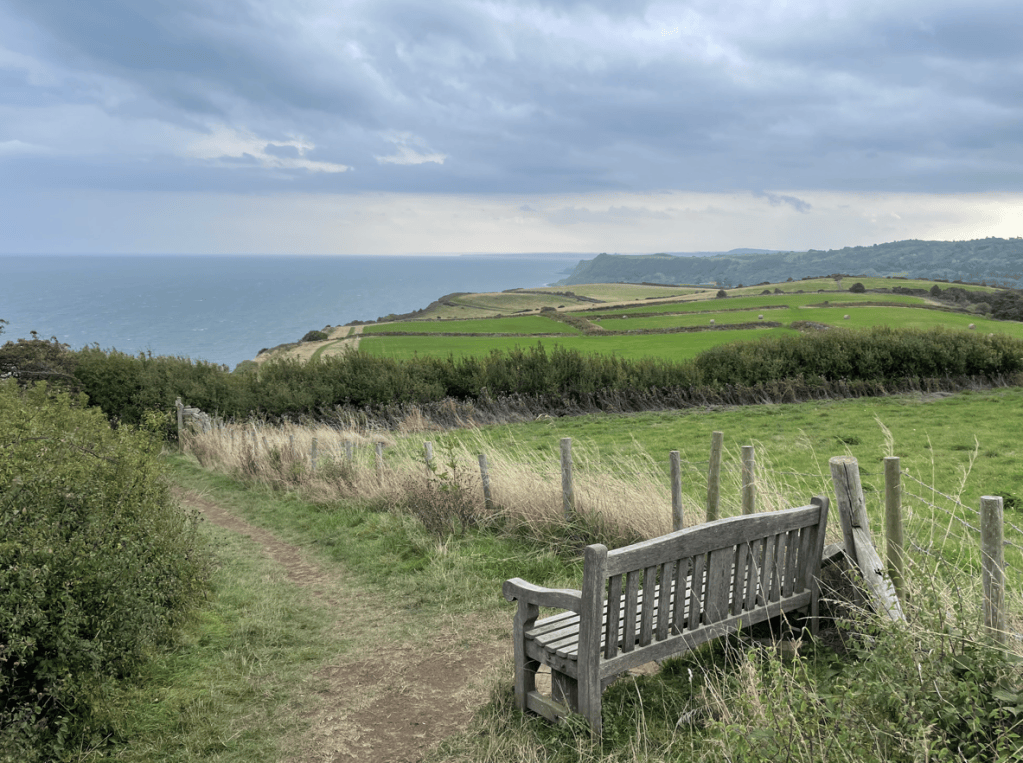 A wooden bench overlooking a coastal landscape with rolling green fields and the sea in the background, under a cloudy sky.