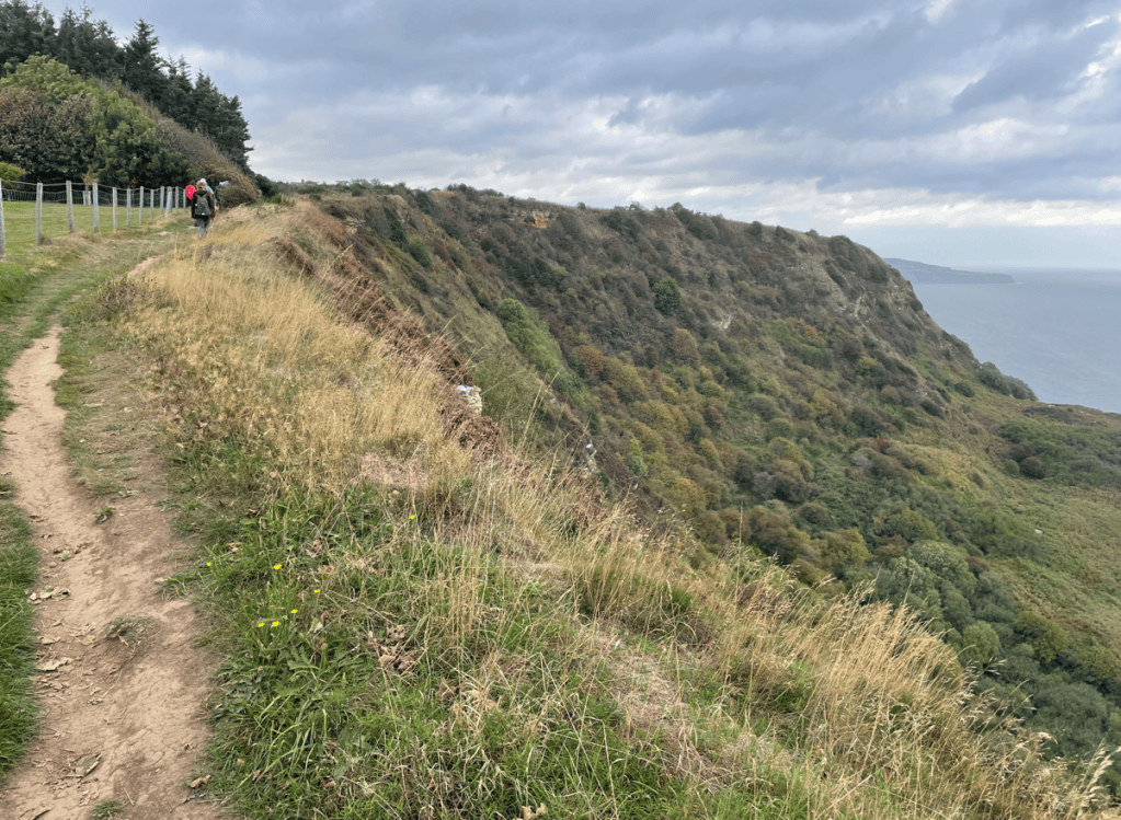 A person walking along a narrow path at the edge of a cliff, surrounded by lush greenery and tall grass, with a cloudy sky and sea in the background.