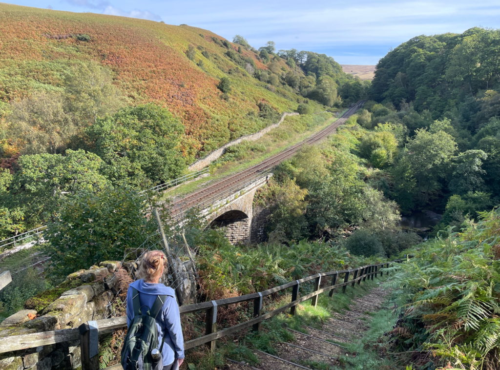 A hiker overlooking a scenic valley with a railway bridge and tracks, surrounded by lush greenery and autumnal vegetation.
