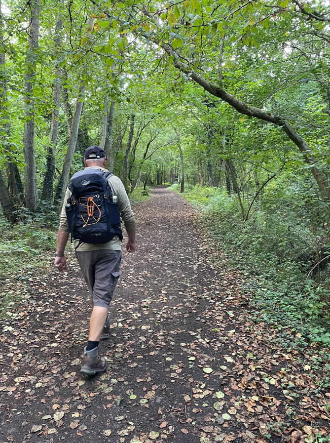 A person walking along a leaf-covered path in a wooded area, wearing a backpack and shorts, surrounded by lush greenery.