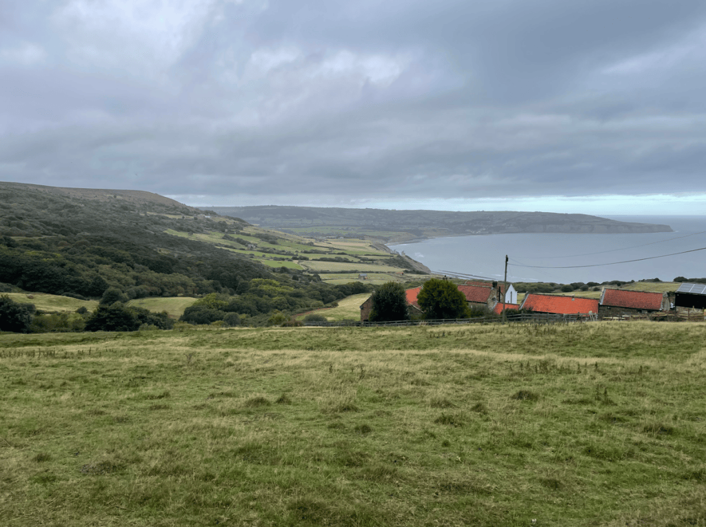 A scenic view of rolling hills and fields leading down to the sea, under a cloudy sky, with a few houses featuring red roofs in the foreground.