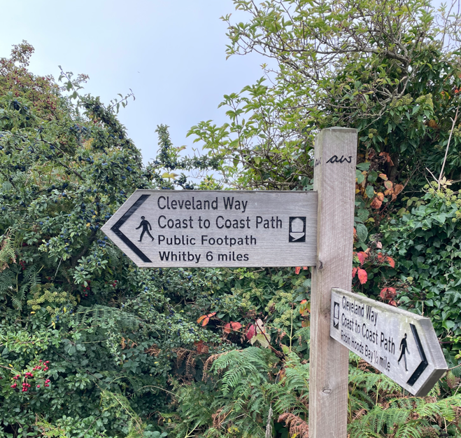 Wooden signpost directing to Cleveland Way and Coast to Coast Path with distances to Whitby displayed, surrounded by greenery.