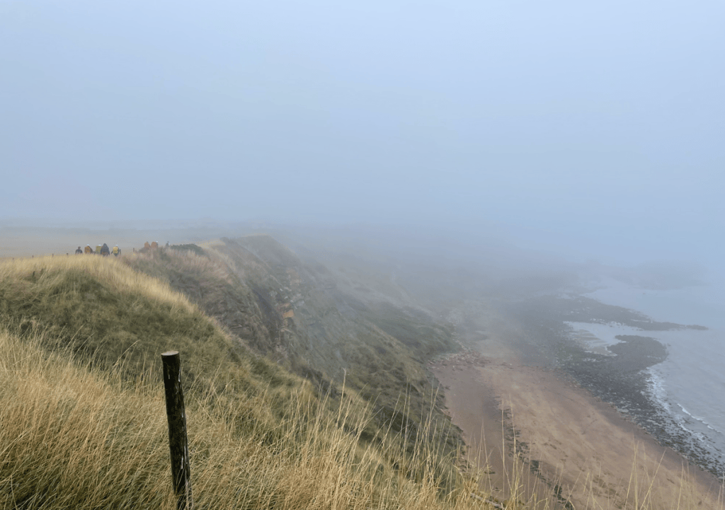 A misty coastal landscape with cliffs and a beach below, surrounded by tall grass and fog obscuring the view.