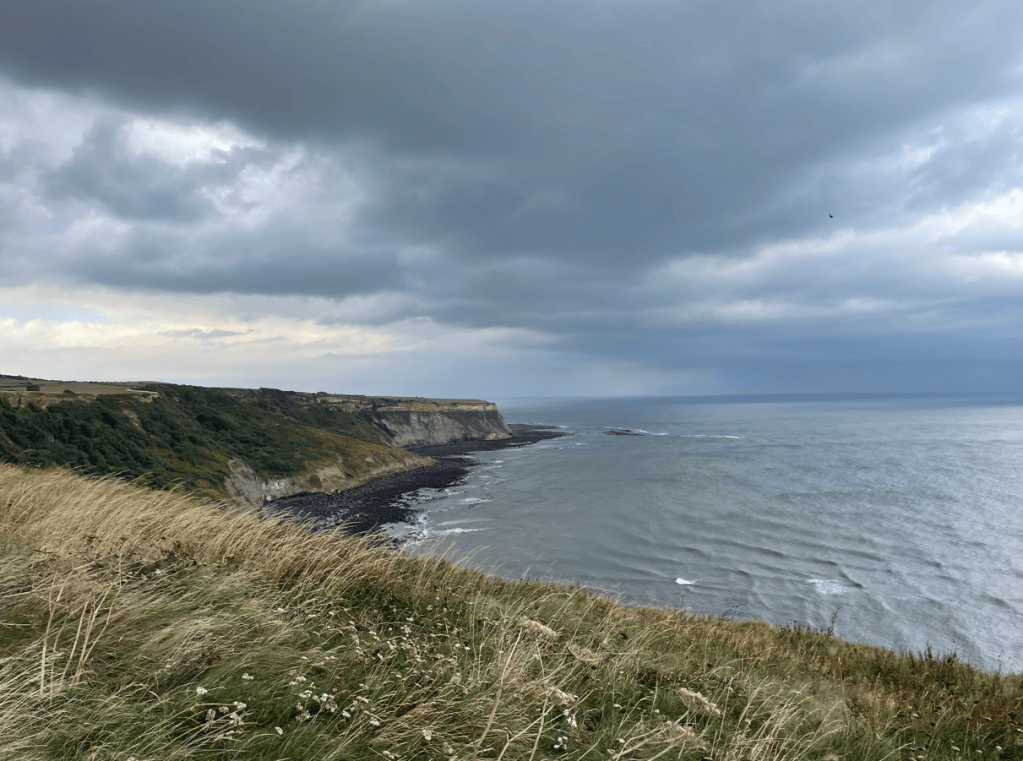 A coastal view with cliffs under a cloudy sky, featuring waves lapping against the shore and grassy foreground.