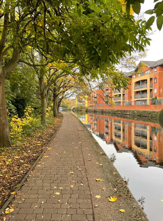 A scenic canal pathway lined with trees displaying autumn foliage and fallen leaves, with red brick buildings reflected in the calm water.