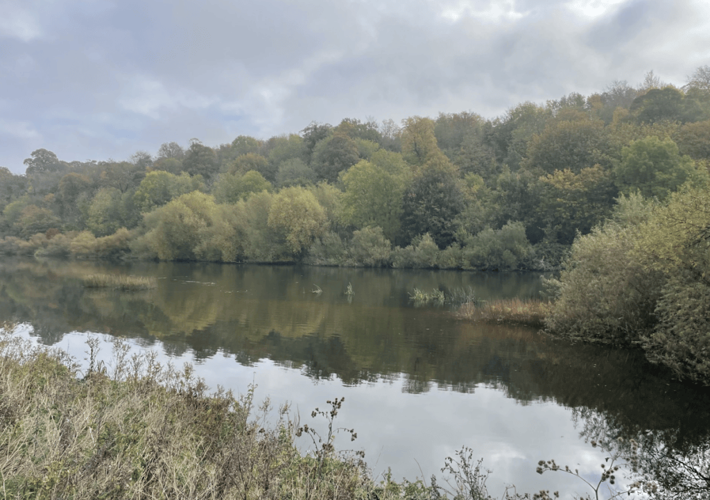 A tranquil river scene with calm waters reflecting a backdrop of lush, autumnal trees under a cloudy sky.