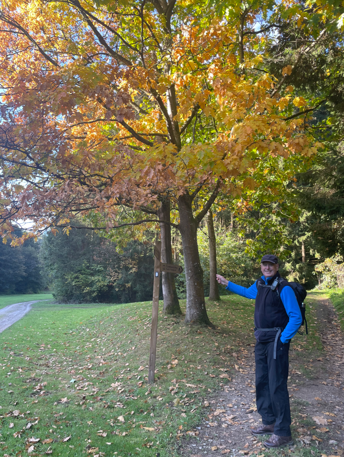 A person pointing at a direction signpost in a park, surrounded by autumn foliage.