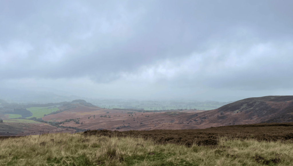 A panoramic view of rolling hills under a cloudy sky, featuring a mixture of green fields and heather-covered land in muted earthy tones.