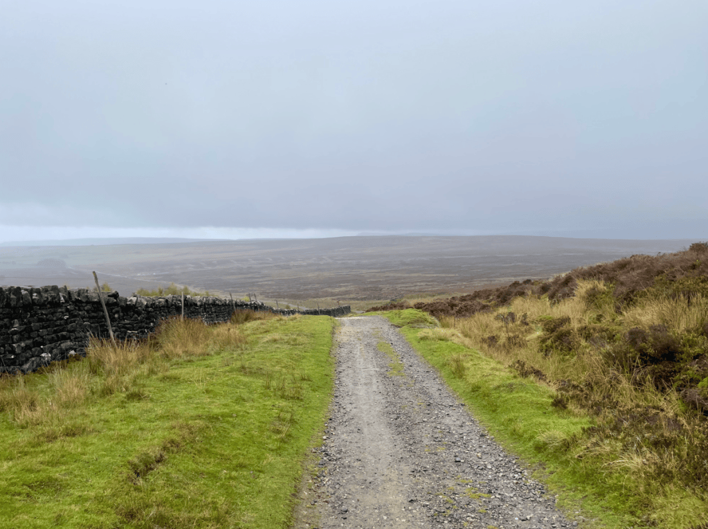 A gravel path winding through a grassy landscape with a stone wall on the left, under a cloudy sky.