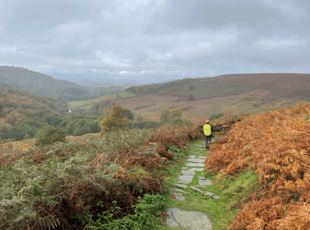 A person walking along a stony path in a hilly landscape with autumn foliage and misty skies.
