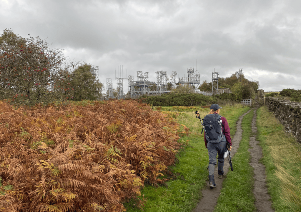 A person walking along a path beside ferns, with a telecommunications facility in the background and overcast skies.