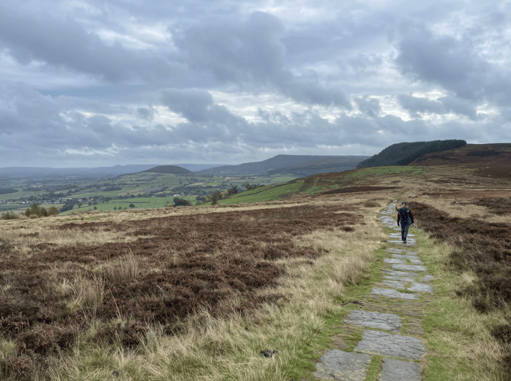 A person walking along a stone pathway through a grassy landscape, with rolling hills and cloudy skies in the background.
