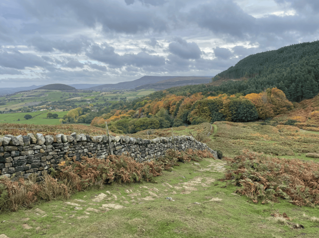 A scenic landscape view featuring a dry stone wall, rolling hills, and wooded areas in autumn colours under a cloudy sky.