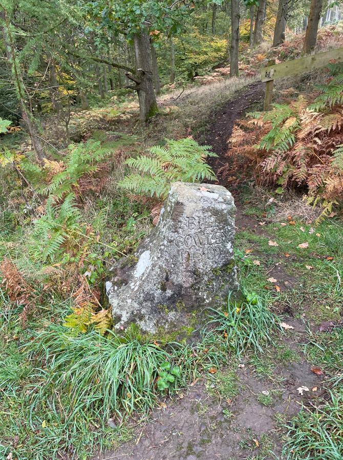 A stone marker engraved with 'Bille Cove 1959' amidst ferns and grass in a forested area.