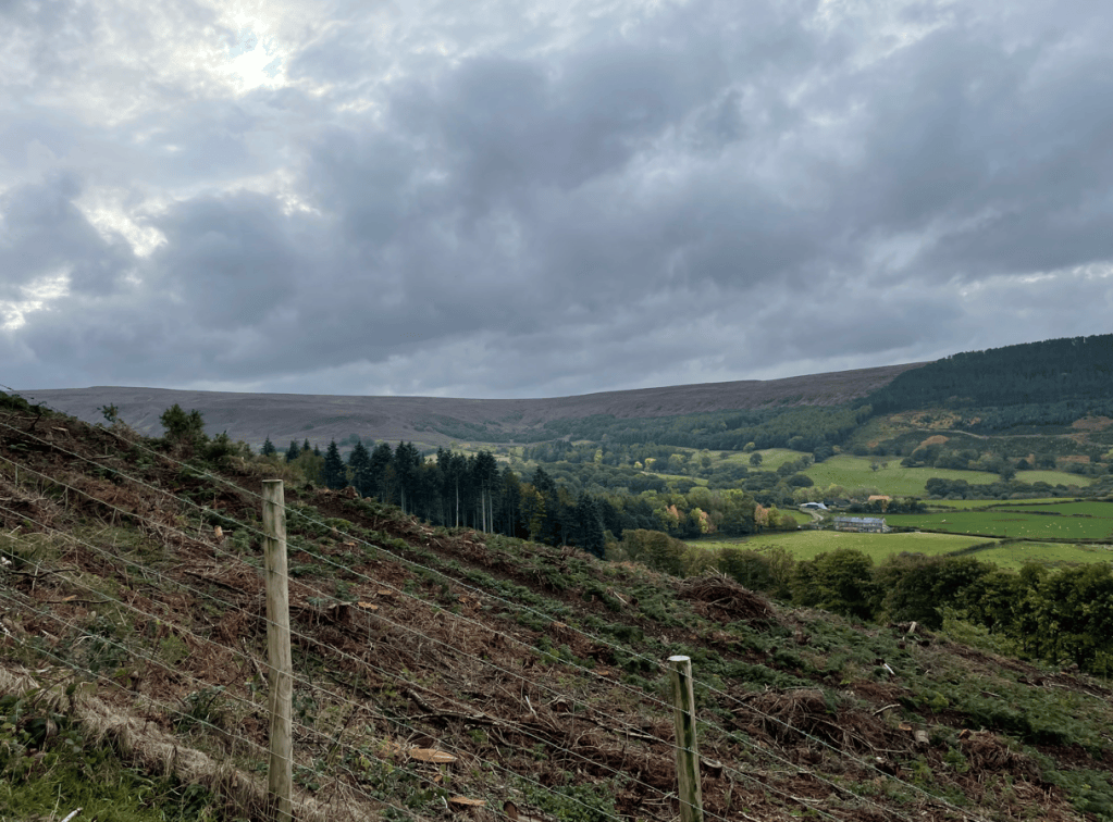 A sweeping landscape view of rolling hills and dense woodland under a cloudy sky, with a foreground of cleared land and a fence.