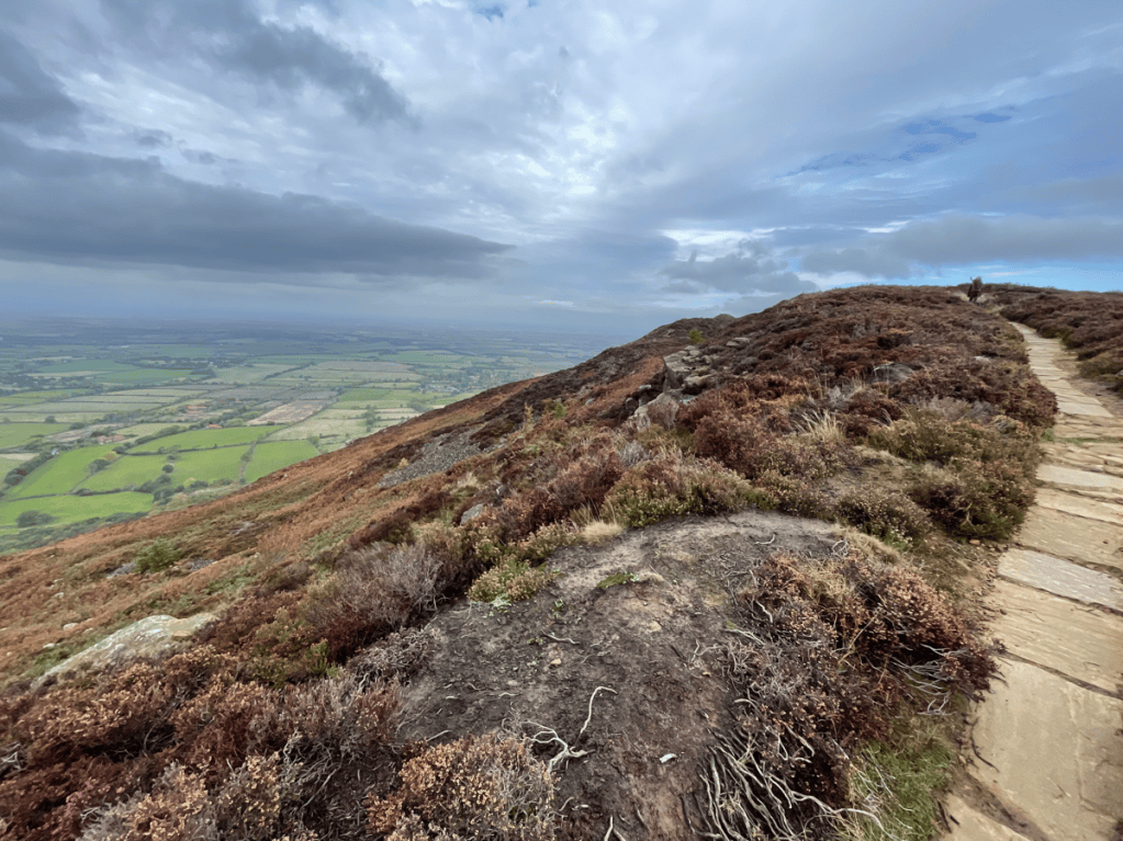 A scenic view from a hilltop, featuring a winding path, green fields, and a cloudy sky.
