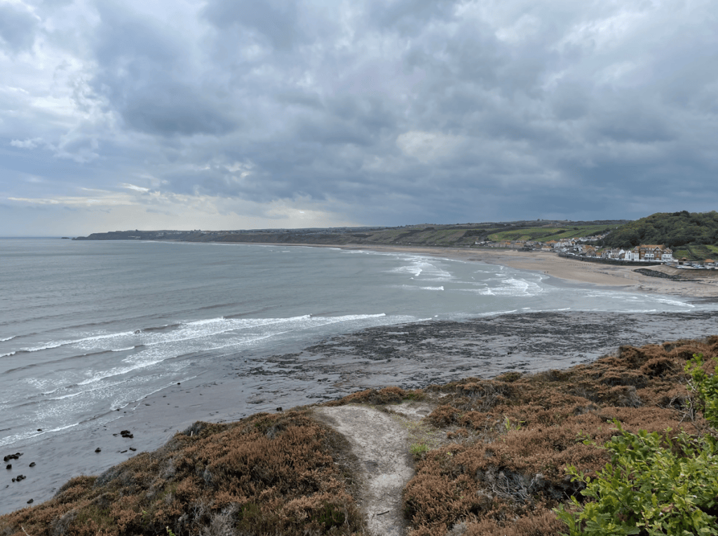 A coastal view featuring a sandy beach, gentle waves, and a cloudy sky, with greenery and rocks in the foreground.