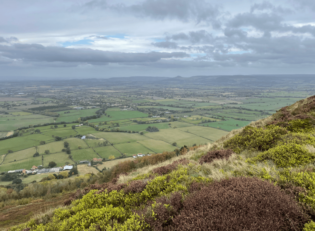A scenic view of lush green fields and farmland under a cloudy sky, taken from a hillside perspective.