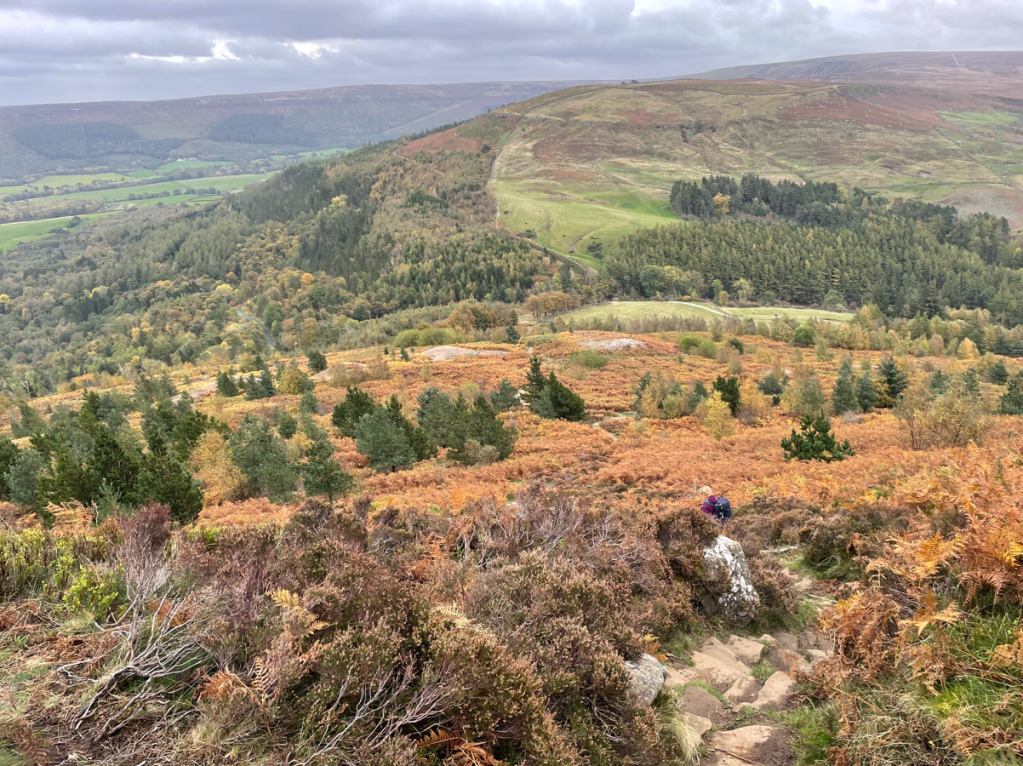 A picturesque view of rolling hills and valleys covered in autumn foliage, featuring a hiker descending a rocky path among orange and green vegetation.