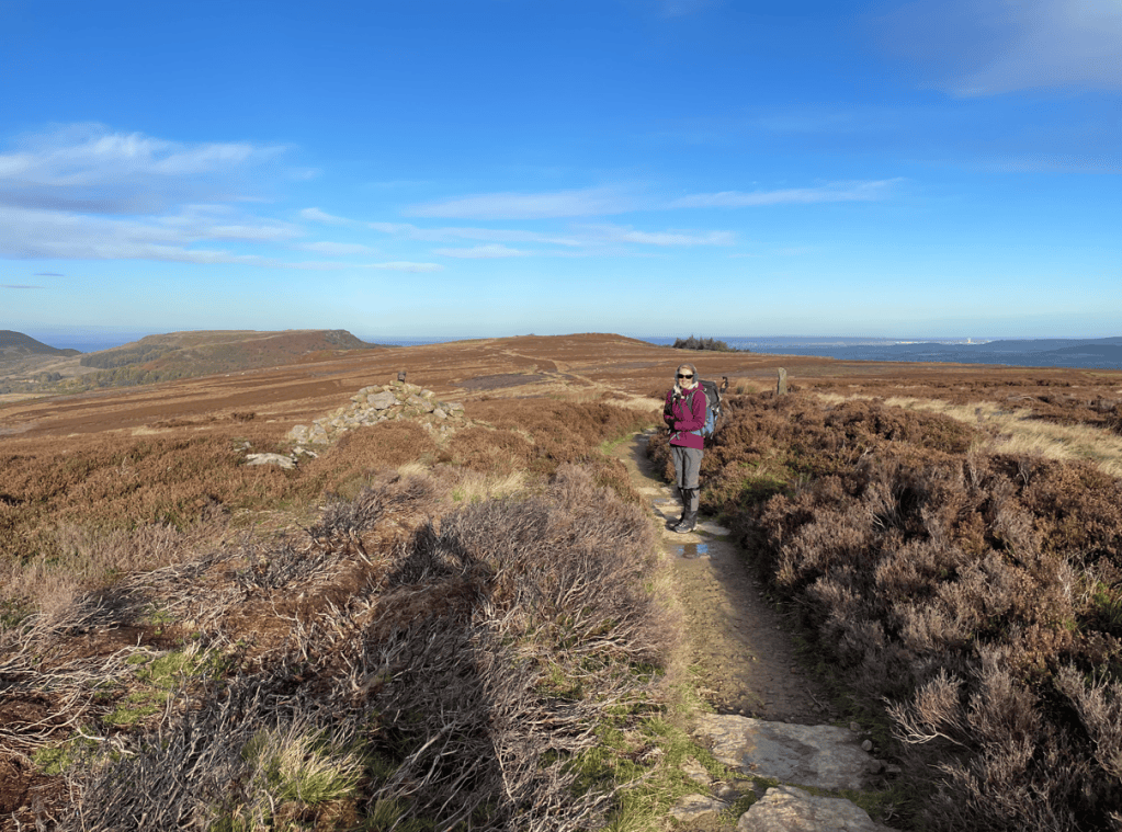 A hiker in a purple jacket stands on a trail surrounded by heather-covered hills and a clear blue sky.