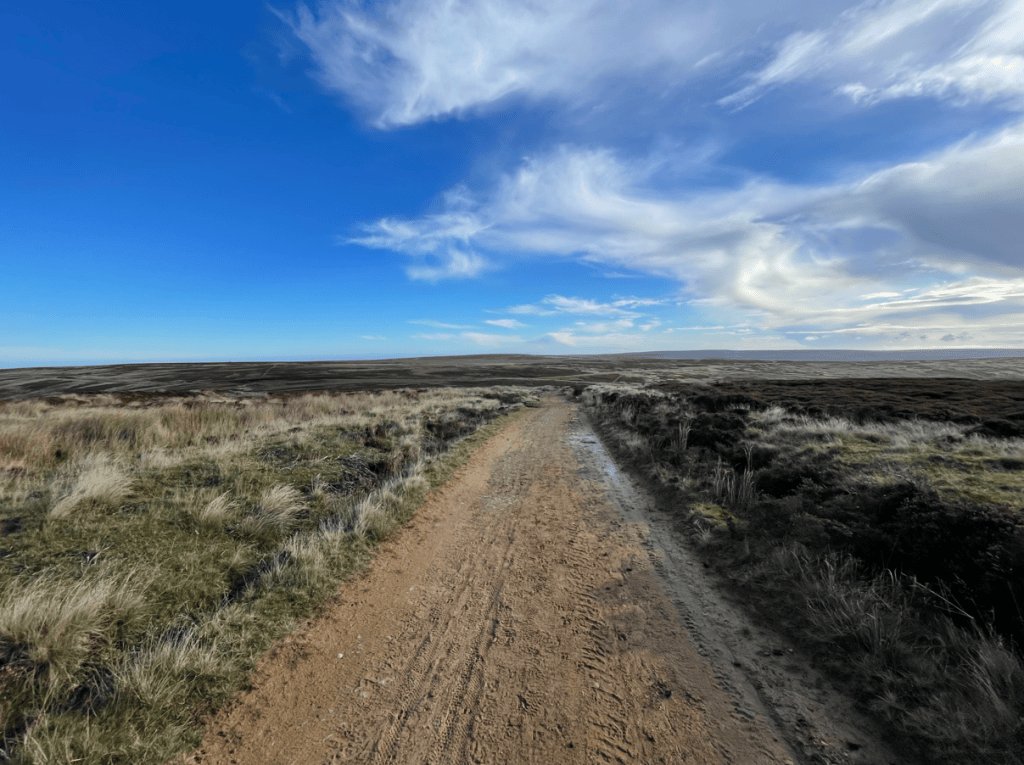 A sandy path winding through a landscape of tall grass and heather under a blue sky with wispy clouds.
