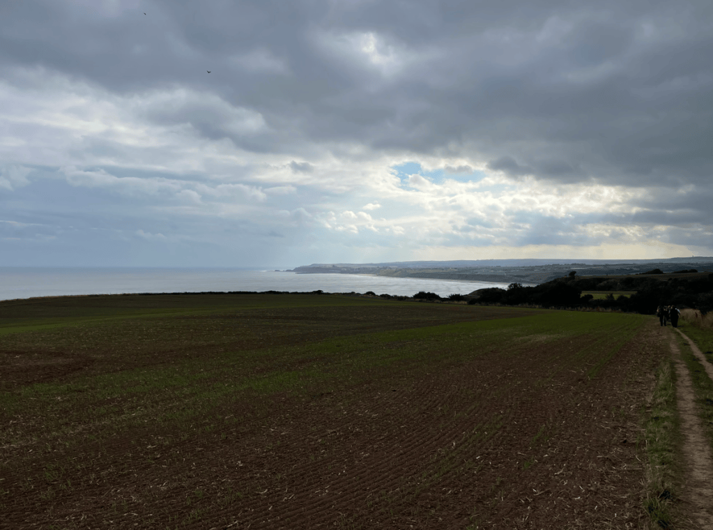 A scenic view of a coastal landscape under a cloudy sky, featuring a grassy field leading to the sea and cliffs in the distance.