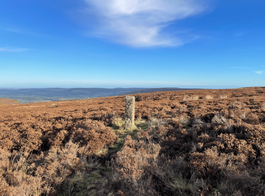 A stone marker stands alone in a brown heather-covered landscape under a clear blue sky.